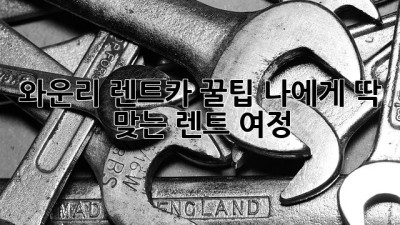 와운리 렌트카 꿀팁🍯 나에게 딱 맞는 렌트 여정🚗